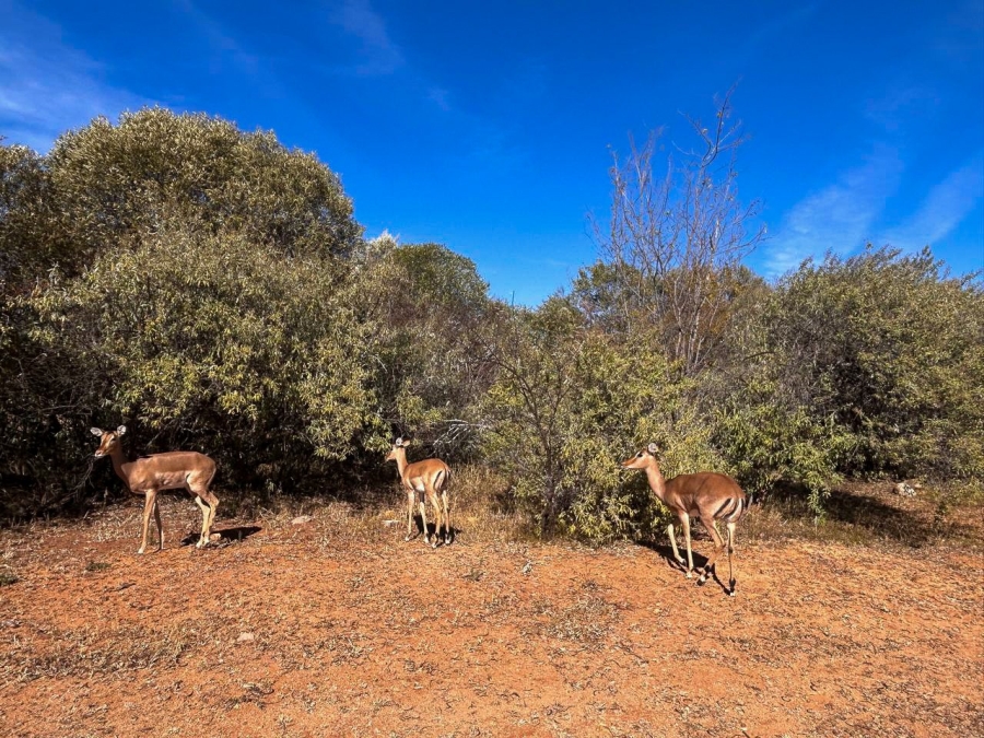 0 Bedroom Property for Sale in Vaal de Grace Golf Estate Free State